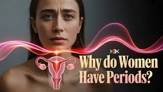 Why Do Women Have Periods? | The Complete Science, Pain, and Power Behind Menstruation