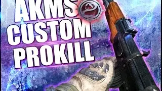 Contract Wars - AKMS Custom Prokill - (Untouched)