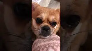 Mawam