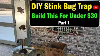 DIY Stink Bug Trap That Finally Works (WE HATE STINK BUGS)