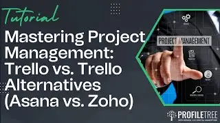 Mastering Project Management: Trello vs. Trello Alternatives (Asana vs. Zoho)