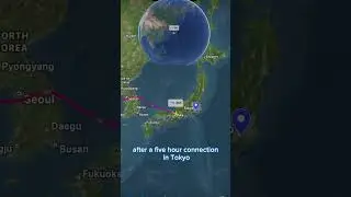 Из Лондона на Гавайи 🇬🇧✈️🇺🇸 | Одно из самых длинных путешествий в рай 🌺