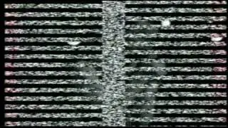 The Screamers - Tomata speaks in 1998