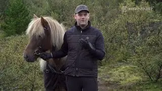 Mental training for riders - Mood control