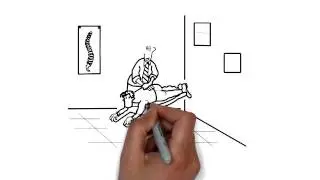 Evergreen CO | Chiropractor | Health and Harmony Chiropractic and Wellness Center