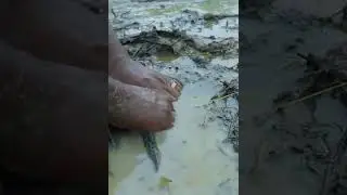 ishing #fishingtips #handfish #amazingfishing #fish #fishingtricks