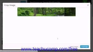 WordPress 4.0 Training Tutorial Custom Header Images