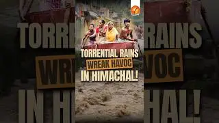 Torrential Rains Wreak Havoc in Himachal!