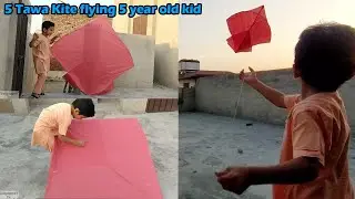 5 Year Old Chotu Ustad Flying very big Kite 5 Tawa Kite at home - diy crafts - GolgappaY Kites