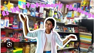 ✨Rs 100 stationery challenge 🥴