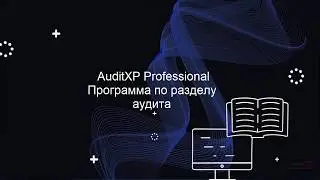 Программа по разделу аудита (Рабочий документ A-Z)
