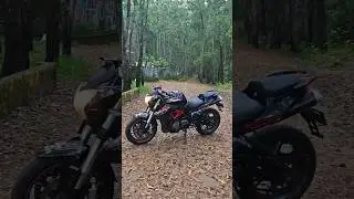 Cold start at forests #benelli600i #benellibikes #exhaust #superbike #bikers #benellimotorcycles