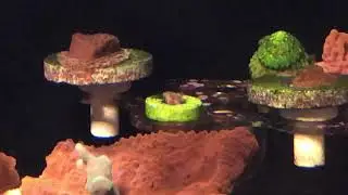 Reef tank equipment rambling