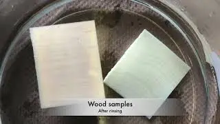 Lab 1 Delignification of Wood