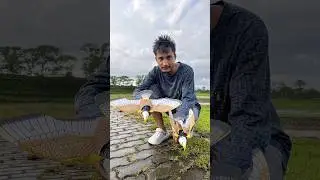 RC Flying Eagle 🦅 Unboxing and Flying Test #eagleflying