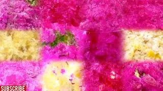 REQUESTED VIDEO | ASMR QIAN YELLOW & PINK MIX JEWELRY SHAVED ICE EATING