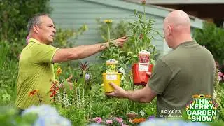 What to do with your early flowering - The Kerry Garden Show