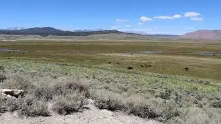 Upper Owens River Panoramic View