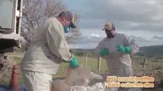 Empty Pesticide Container Collection Program