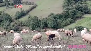 YardımlıŞıxlar1AN,Şıxlar,Gölyeri,Təzəkənd 20.09.2025