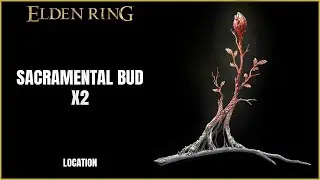 Elden Ring | Sacramental Bud x2 Location | Minor Erdtree Catacombs