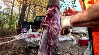 Как снять ремни со спины оленя