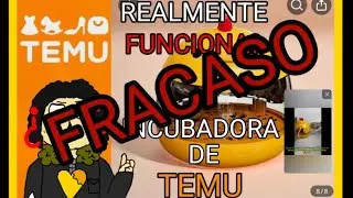 INCUBADORA DE TEMU...