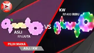 6 фактов о самодельных световых панелях Aurora