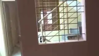 House for Rent 1BHK Rs.7,000 in Bellahalli,Bangalore.Refind:45574