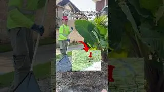 Day 1 of Starting a Landscaping business