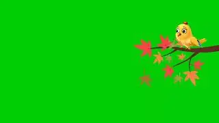 डाल पे बैठी चिड़ियाँ! Green screen video! No copyright! 
