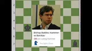 Power of bishops by Jon Ludvig Hammer
