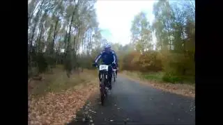 Gribben 2013   5