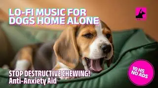 STOP DESTRUCTIVE CHEWING! 10 HOURS Lo-Fi Music for Dogs Home Alone 🐾 Anti-Anxiety Aid