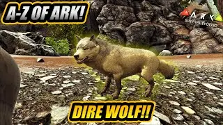 От А до Я от Ark! Лютоволк и почему это один из лучших стайных динозавров!! || Ark Survival Evolved!