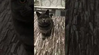 все дачники мой тгк ksyunya15