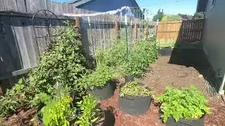 Small Space Gardening That Produces BIG!