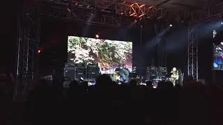 Dave Wise Five - Jungle Japes