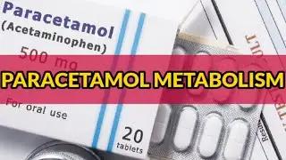 Paracetamol metabolism