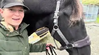 Physio Jenny Parker | Renske&rsquo;s 🍑 poorly foot | Bonus for Hoitze | Prince the Thelwell