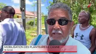 Guadeloupe  Mobilisation des planteurs de canne