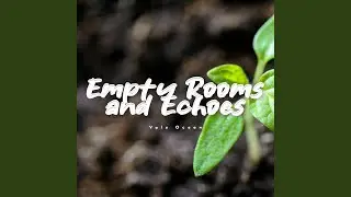 Empty Rooms and Echoes