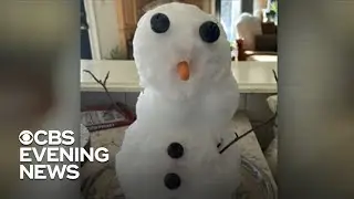 Florida teacher surprises students with real snowman