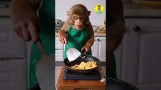 Cute monkey cooking scrambled eggs for breakfast!😄🍳