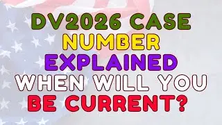 Объяснение номеров дел в лотерее DV 2026 | Когда вы станете обладателем актуальной информации?