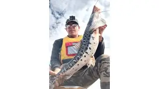 pesca sabado 8 nov 2025 espigon