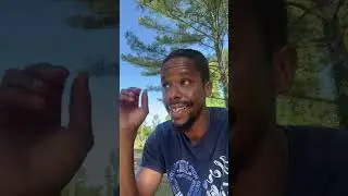 Create a Catalog by Talk2Emtron 🎶🔥