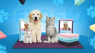 Dry sheets for pets