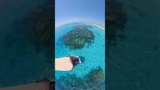 The Best Great Barrier Reef Diving tour from Cairns! Over 15 Years! #greatbarrierreef #cairns