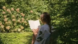 a quiet playlist for quiet hearts 🍀 soft melodies for you
